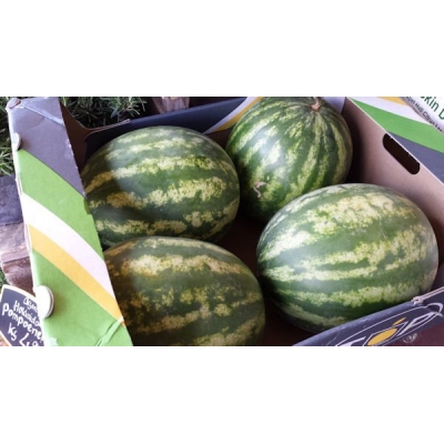 Meloen, Watermeloen grote maat